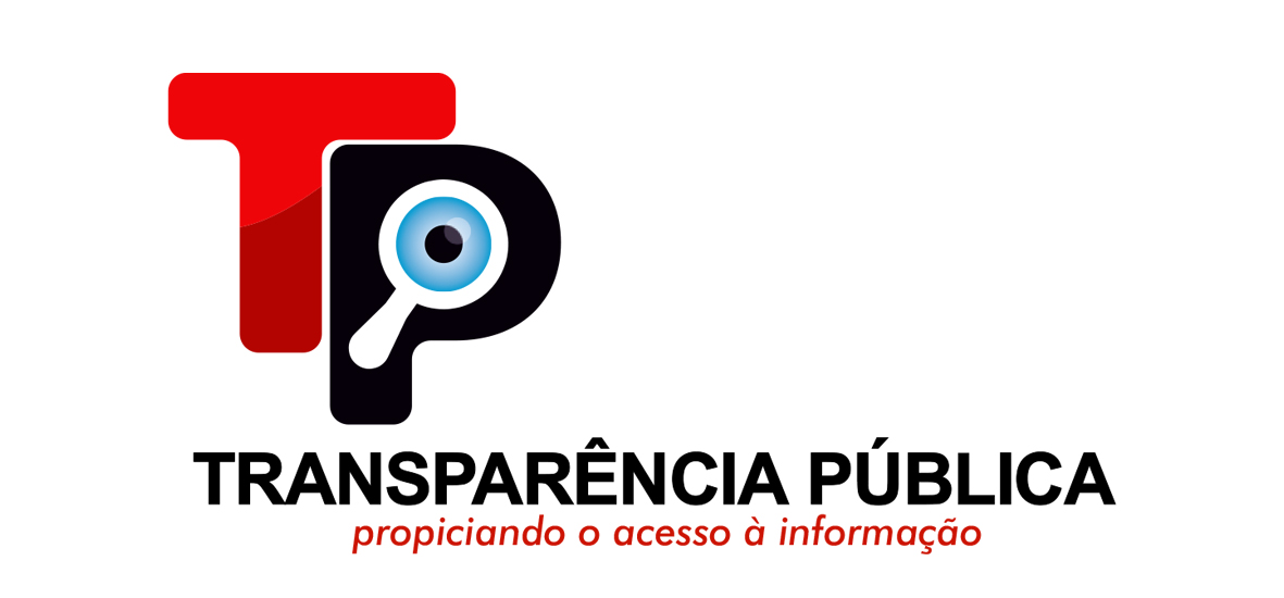 What is Public Transparency?